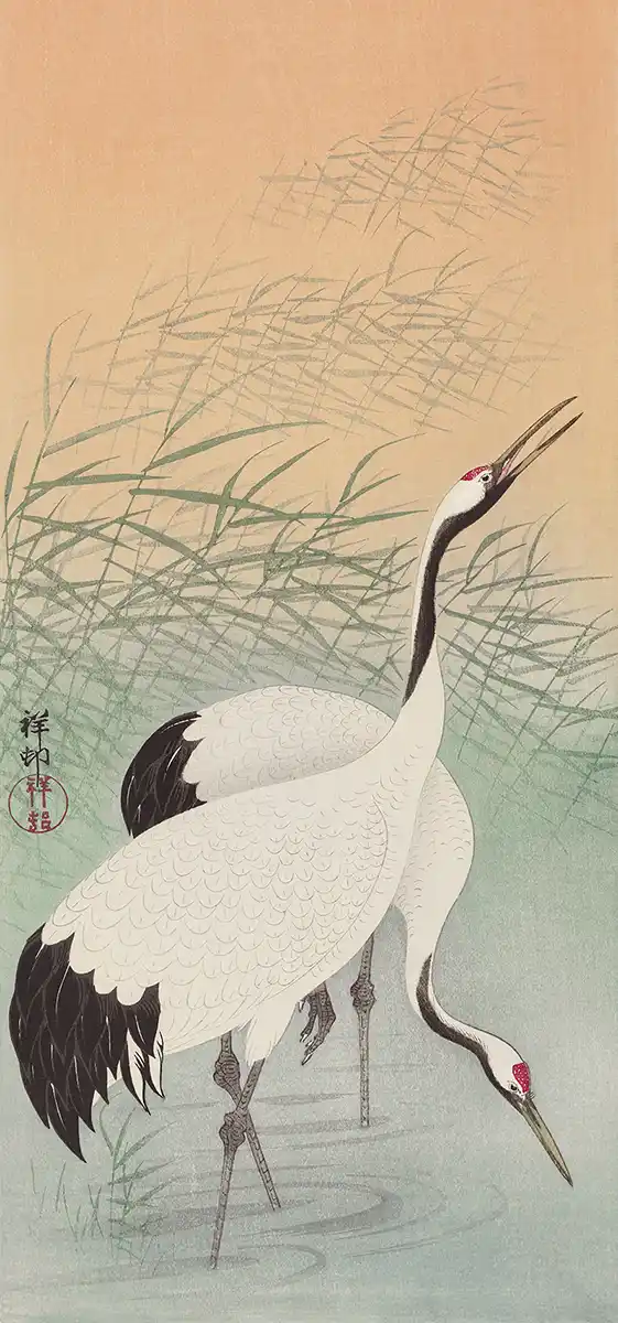Two cranes